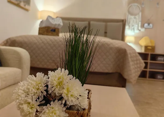 Apartman влас комплекс амфора , студио 704